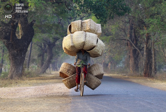 A woman cycles as she carries baskets to sell in a market near Lapdaung mountain in Sarlingyi township, March 13, 2013. REUTERS/Soe Zeya Tun (MYANMAR - Tags: SOCIETY TPX IMAGES OF THE DAY) ) - RTR3EWWQ