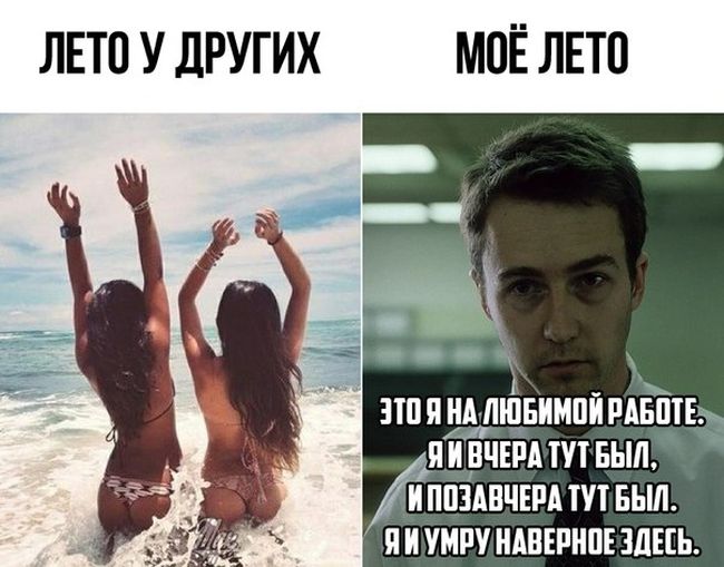 podborka_dnevnya_23